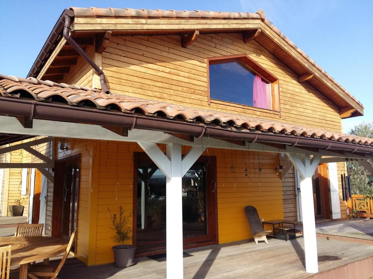 Ecolodge Bellevue אלבי מראה חיצוני תמונה
