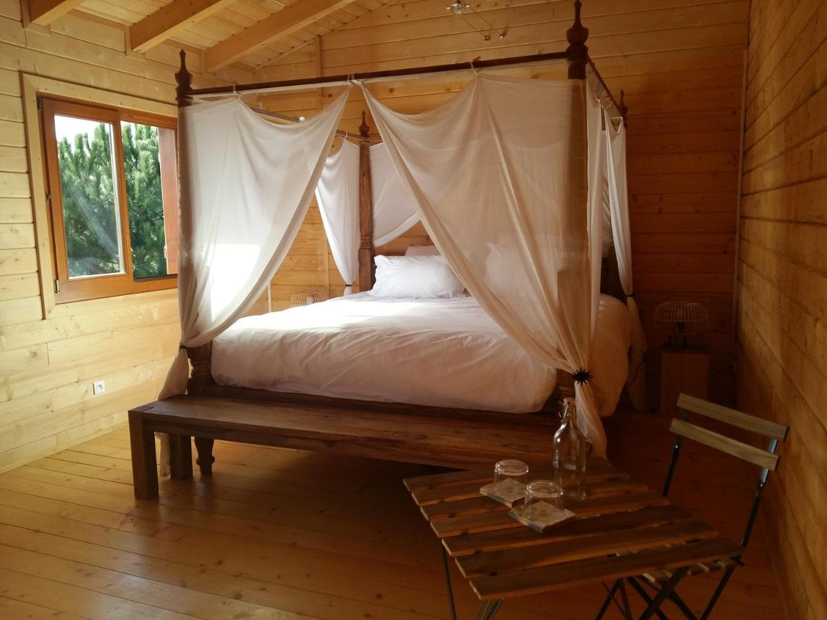 Ecolodge Bellevue אלבי מראה חיצוני תמונה