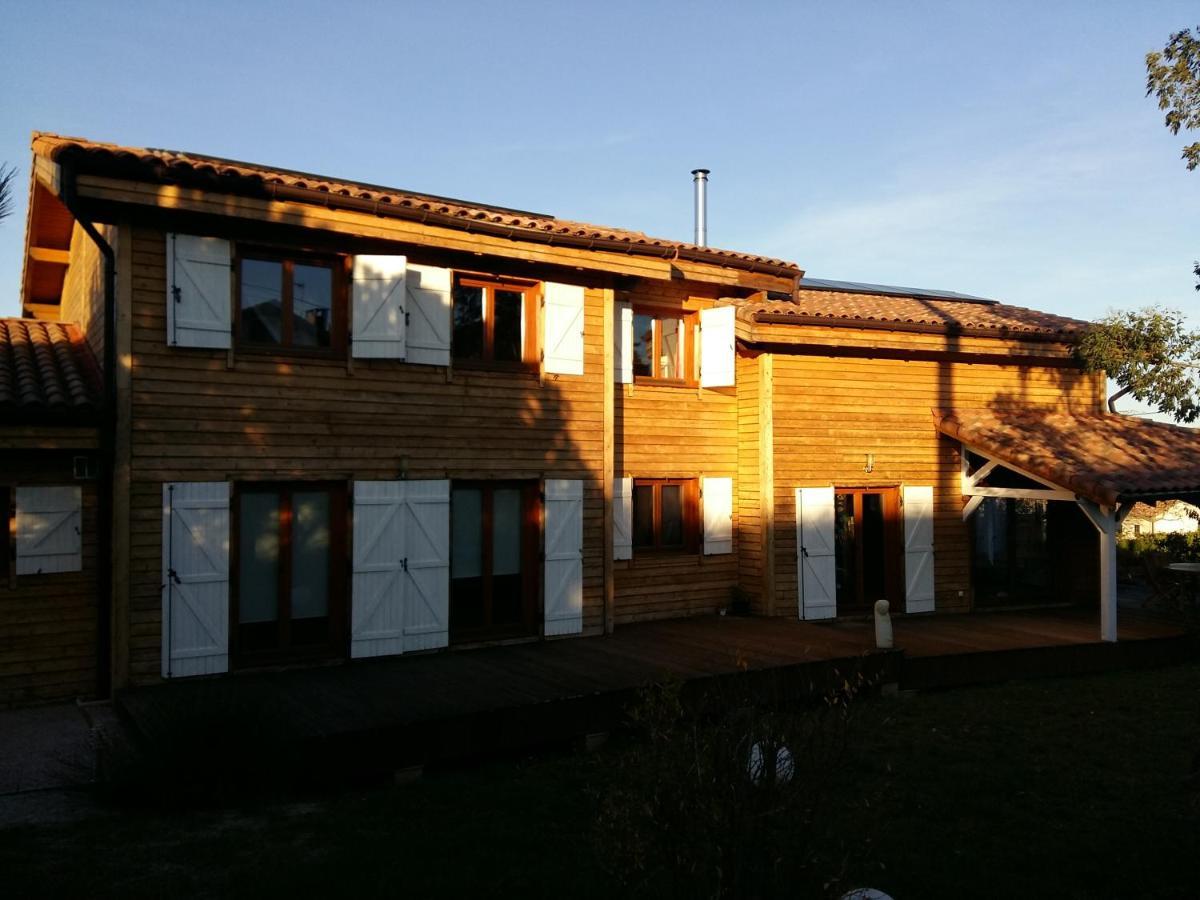 Ecolodge Bellevue אלבי מראה חיצוני תמונה